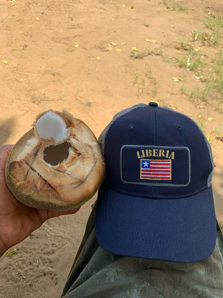 Liberia coconut - ambience of current state of mind and being